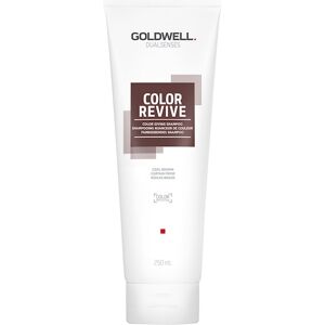 Goldwell Dualsenses Color Color Giving Shampoo Copper Kold brun