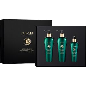T-LAB Professional Indsamling Natural Lifting Ritual-sæt Duo Shampoo 300 ml + Duo Treatment 300 ml + Hair Grow Toner 150 ml
