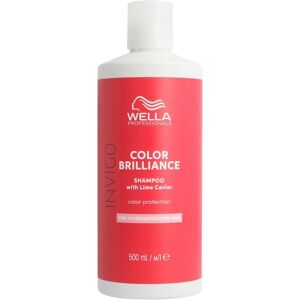 Wella Daily Care Color Brilliance Color Protection Shampoo Fine/Normal Hair