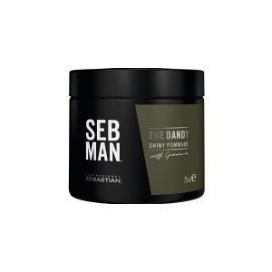 Sebastian Professional Plauku pomade vyrams Sebastian Professional SEB MAN The Dandy Shiny 75 ml