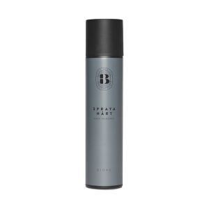 Bjork Björk Spraya Hårt Strong Hold Hair Spray 300 Ml