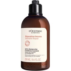 L'Occitane Repairing Shampoo (300ml)