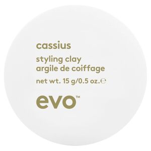 Evo Cassius Styling Clay (15g)