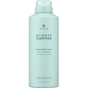 Alterna My Hair My Canvas Another Day Dry Shampoo (142g)