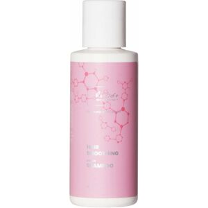 Re-born Hairsolution Smoothing Repair Shampoo (70 ml)