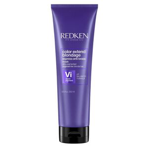 Redken Color Extend Blondage Express Anti-Brass Mask 250 ml