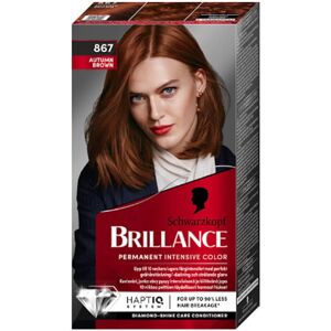 Schwarzkopf Brillance 867 Autumn Brown 160 ml