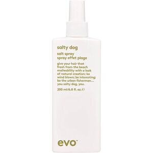 Evo Salty Dog Salt Spray 200 ml