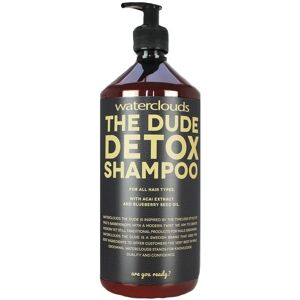 Waterclouds The Dude - Detox Shampoo 1000 ml