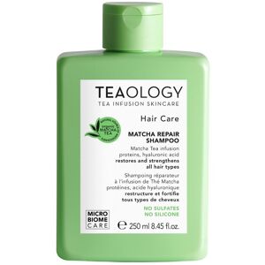 Teaology Hair Care El champú reparador de Matcha restaura y fortalece el cabello 250mL