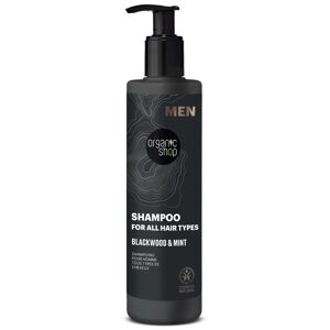 Organic Shop Champú para hombre para todo tipo de cabello MEN