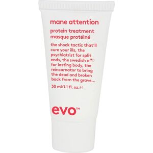 Evo Mane Attention Protein Treatment (30ml)