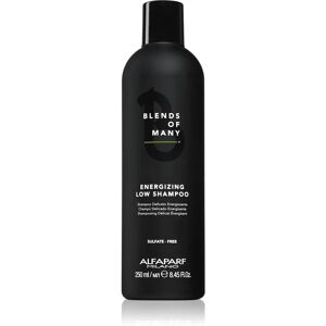 Alfaparf Milano Blends of Many Energizing shampoing énergisant pour cheveux fins et sans volume 250 ml - Publicité