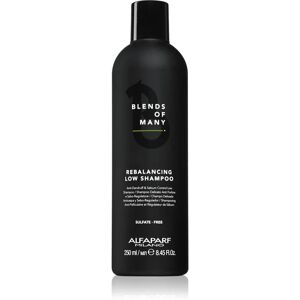 Alfaparf Milano Blends of Many Rebalancing shampoing antipelliculaire 250 ml - Publicité