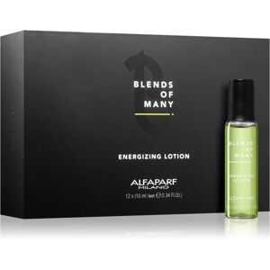 Alfaparf Milano Blends of Many Energizing sérum énergisant pour cheveux secs et abîmés 12 x 10 ml - Publicité