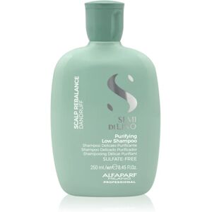 Alfaparf Milano Semi Di Lino Scalp Rebalance shampoing nettoyant doux anti-pelliculaire 250 ml - Publicité