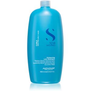 Alfaparf Milano Semi Di Lino Curls shampoing pour cheveux bouclés 1000 ml - Publicité