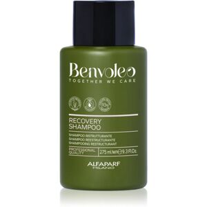 Alfaparf Milano Benvoleo Recovery shampoing restructurant pour cheveux abîmés 275 ml - Publicité