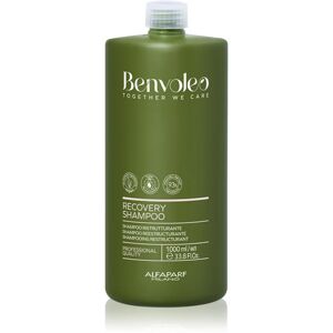 Alfaparf Milano Benvoleo Recovery shampoing restructurant pour cheveux abîmés 1000 ml - Publicité