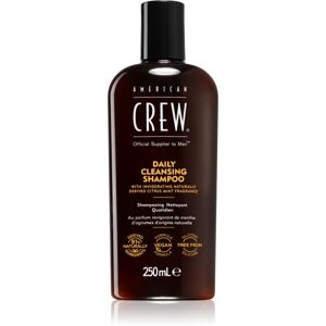 American Crew Daily Cleansing Shampoo shampoing usage quotidien pour homme 250 ml - Publicité