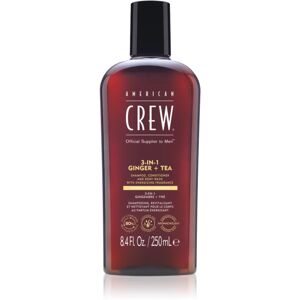 American Crew 3 in 1 Ginger + Tea 3 en 1 : shampoing, après-shampoing et gel douche pour homme 250 ml - Publicité