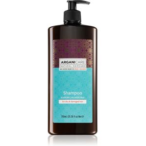 Arganicare Argan Oil & Shea Butter shampoing pour cheveux secs et abîmés 750 ml - Publicité