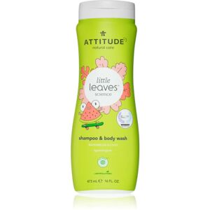 Little Leaves Watermelon & Coco gel nettoyant et shampoing pour bébé 473 ml