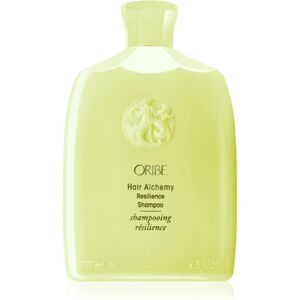 Oribe Hair Alchemy Resilience Shampoo shampoing fortifiant pour cheveux fragiles 250 ml