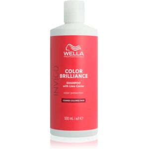 Wella Professionals Invigo Color Brilliance shampoing pour cheveux normaux à épais protection de couleur 500 ml