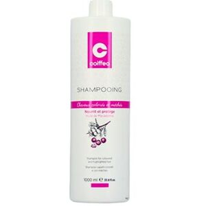 Coiffeo Shampoing Coiffeo Cheveux Colorés 1 Litre