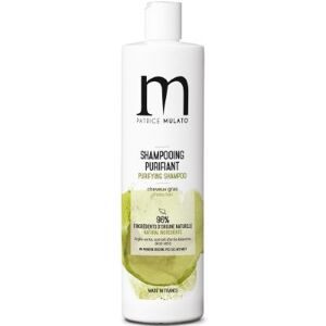 Shampoing Purifiant Cheveux Gras a L'argile Mulato 500 Ml