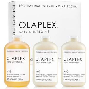 Olaplex Salon Intro Kit