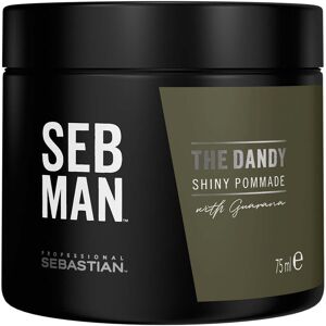 Pommade Tenue Legere The Dandy Seb Man 75ml