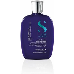 Shampoing Neutraliseur de Couleur Alfaparf Milano Semi Di Lino Cheveux Foncé (250 ml) - Publicité