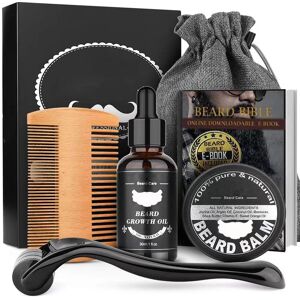 Kit de soins de barbe pour hommes, ensemble de barbe avec crème à barbe, huile de barbe et rouleau Derma Titanim, kit de croissance de barbe, kit Derma Roller