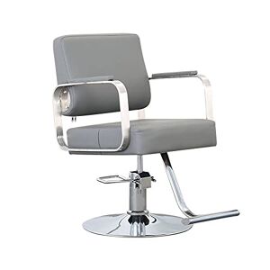 AuLYn Chaise hydraulique pour le travail ou la maison, chaise de coiffure pour salon de coiffure, chaise de barbier spéciale avec accoudoirs en acier inoxydable, chaise de coupe de cheveux (420 lb) (c - Publicité