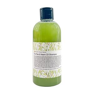 Funky Soap 1 Bouteille Liquide Thé& Arbre Neem Huile Shampoing 100% Naturel sans SLS 250ml - Publicité