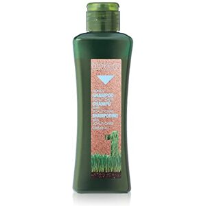 Salerm Shampooing pour cuir chevelu sensible Biokera Natura Shampooing Miel Scalp Care 300 ml Nettoie le cuir chevelu du sébum et des pellicules Purifie les cheveux Prévient et combat les - Publicité