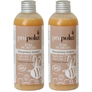 Propolia - Spécialistes de la Propolis Duo Shampoing traitant BIO : Propolis, Miel, Argile & Cade