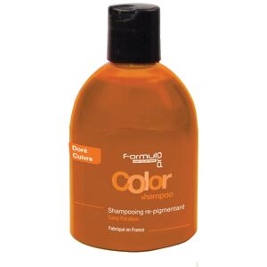 Shampooing doré cuivré Integral Color Formul Pro 250ML - Publicité