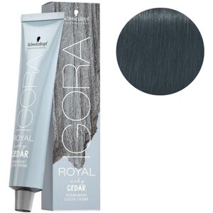 Schwarzkopf Professional Coloration Igora Royal 7-21 collection Ashy Cedar 60ML - Publicité