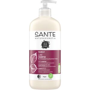 Sante Shampooing Brillance Bouleau