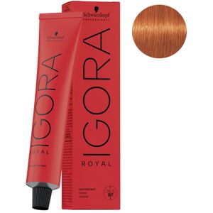 Coloration Permanente Igora Royal 8-77 Blond Clair Cuivré Extra Schwarzkopf - Publicité