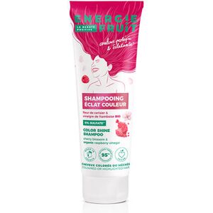 Shampooing Eclat & Protection Vinaigre de Framboise Energie Fruit