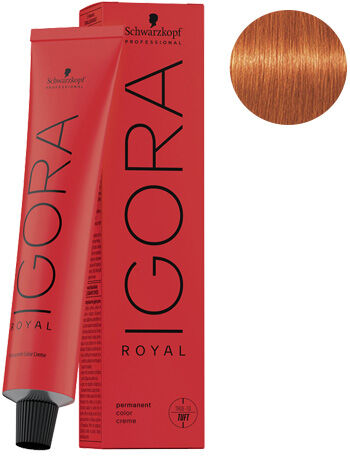 Coloration Permanente Igora Royal 8-77 Blond Clair Cuivré Extra Schwarzkopf