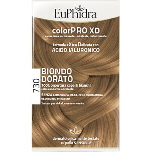 Euphidra ColorPRO XD 730