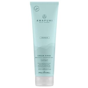 Paul Mitchell Awapuhi Wild Ginger Cream Rinse 250 ml