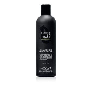Alfaparf Milano Alfaparf Blends Of Many Rebalancing Low Shampoo Antiforfora Uomo 250ml