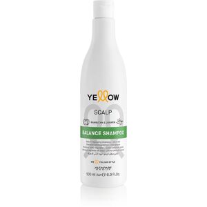 Alfaparf Yellow Scalp Balance Shampoo Seboregolatore Per Cute Grassa 500 ml