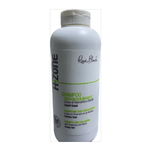 Shampo Seboriequilibrante H-Zone 500 Ml X  10 Pezzi